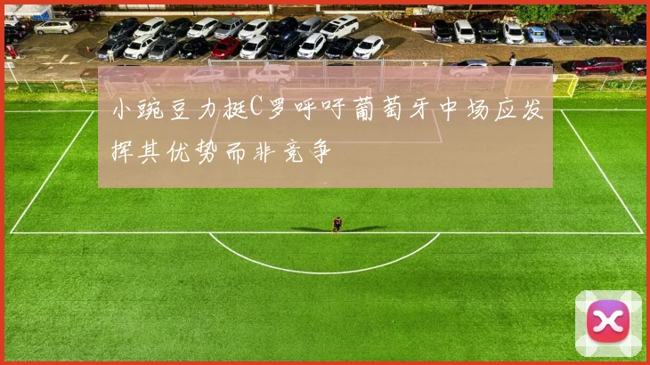 小豌豆力挺C罗呼吁葡萄牙中场应发挥其优势而非竞争