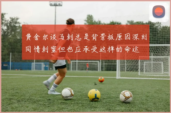 费舍尔谈马刺总是背景板原因深刻同情刺蜜但也应承受这样的命运