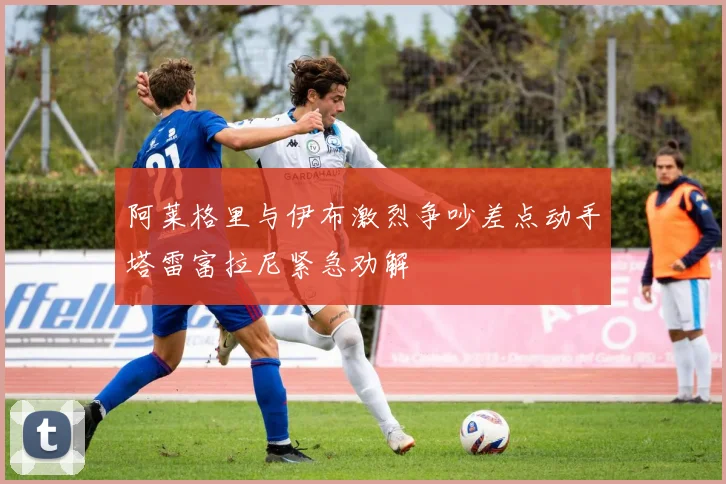 阿莱格里与伊布激烈争吵差点动手塔雷富拉尼紧急劝解